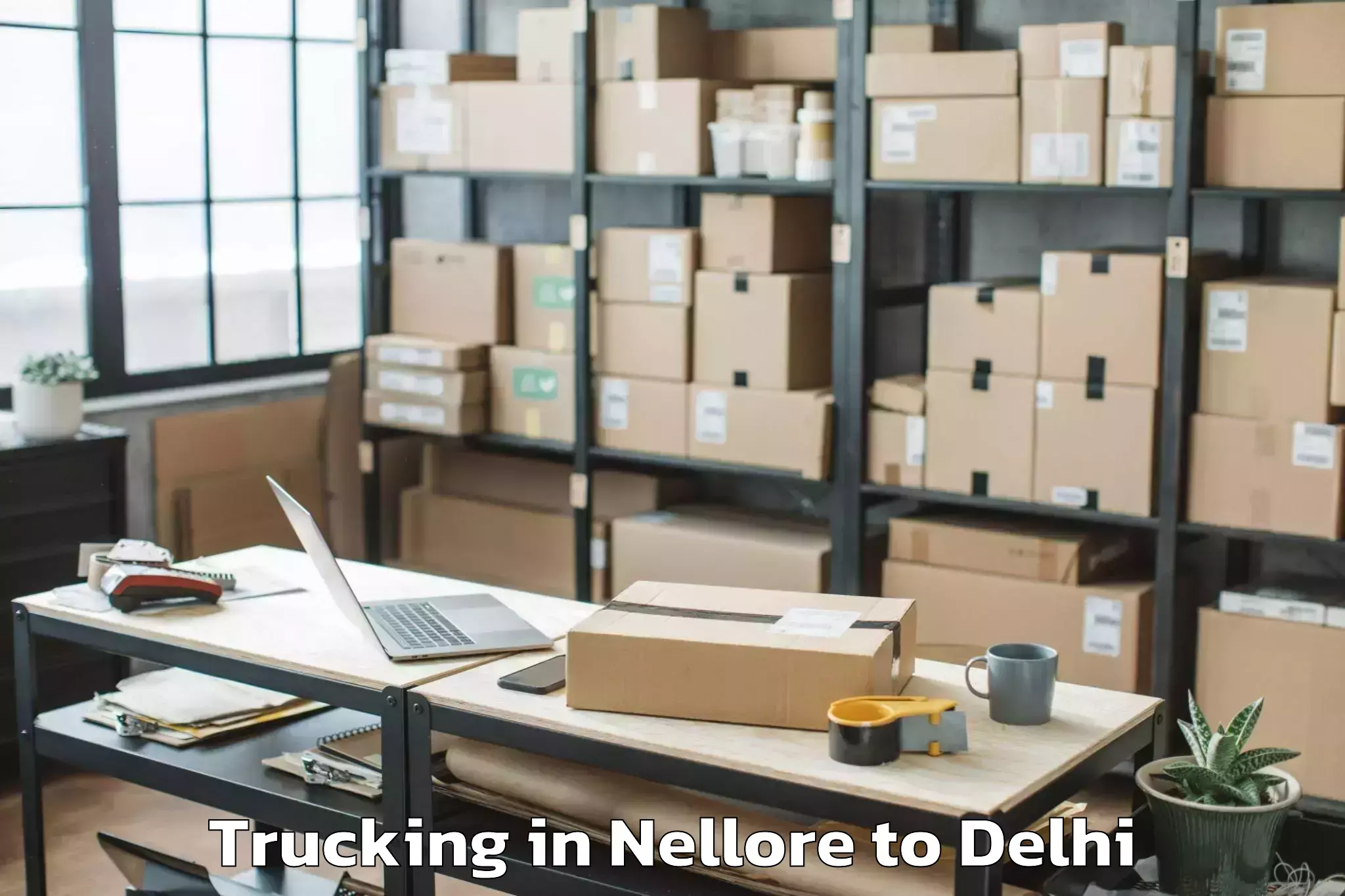 Professional Nellore to Flatted Factory Complex Okhla Trucking